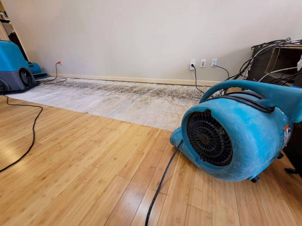 Professional Basement Flood Cleanup technician working in Ashley, OH